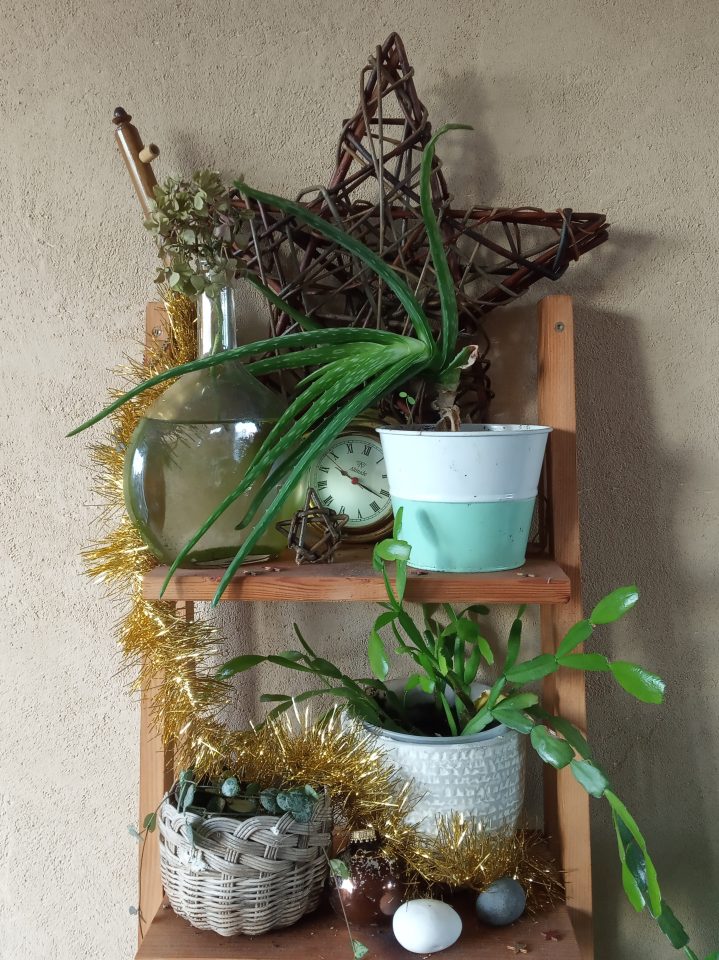 Décorations de Noël sur une échelle porte-plante, dont une grande et une petite étoiles en osier