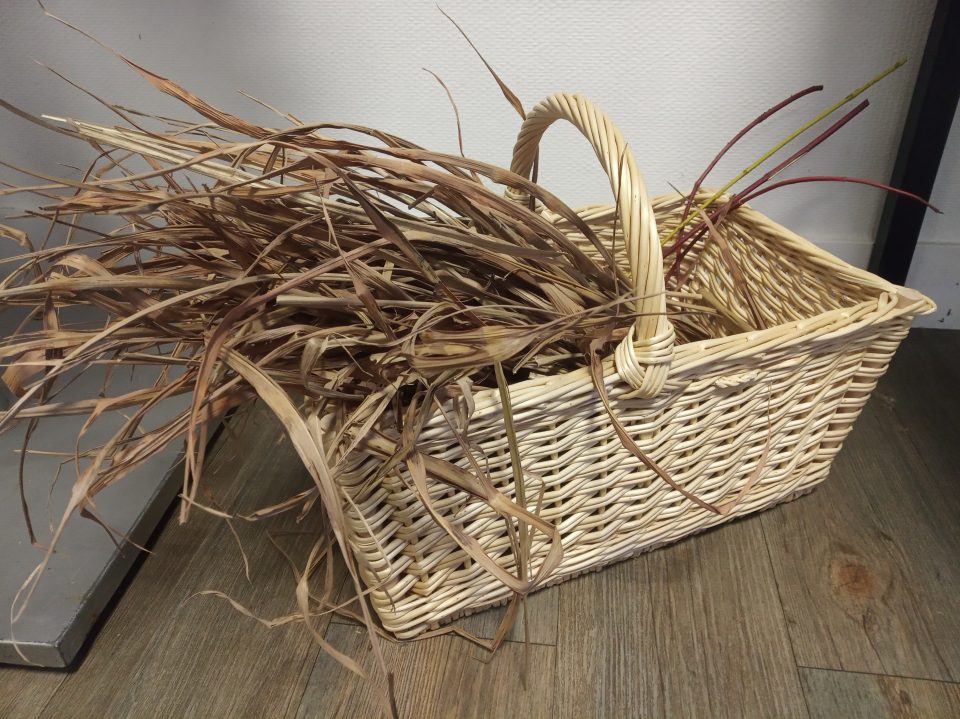 Panier à commission rectangulaire en osier blanc, rempli de miscanthus