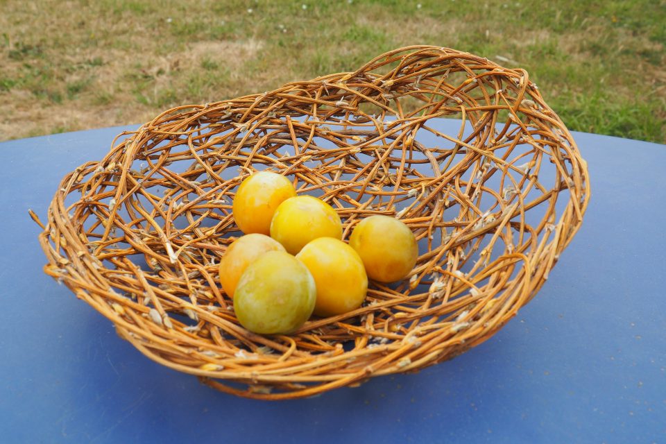 Corbeille en vannerie aléatoire de saule pleureur