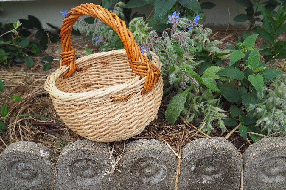 Panier à oeufs en osier blanc et brut